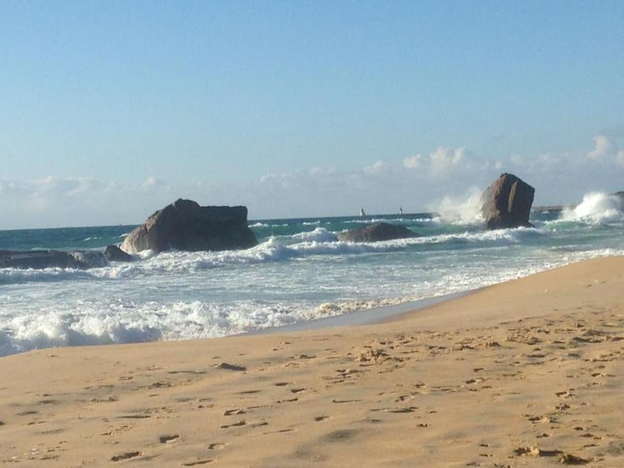 Cap Ocean-Studio Capbreton Kültér fotó